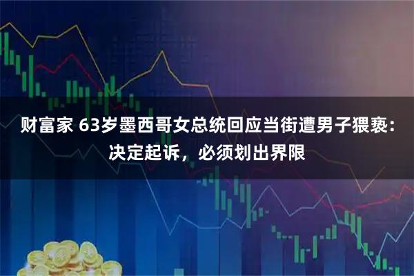 财富家 63岁墨西哥女总统回应当街遭男子猥亵：决定起诉，必须划出界限