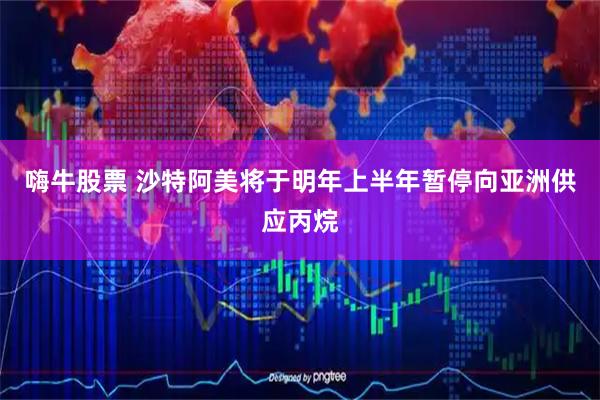 嗨牛股票 沙特阿美将于明年上半年暂停向亚洲供应丙烷